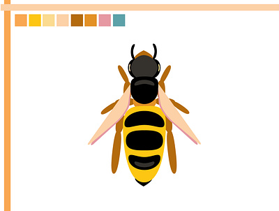Honeybee Graphs branding design graphic graphicdesign illustration illustrator ui ux vector