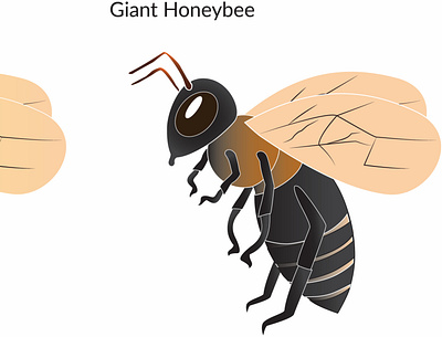 Giant Honeybee Graph branding design graphic graphicdesign illustration illustrator vector