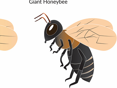 Giant Honeybee Graph