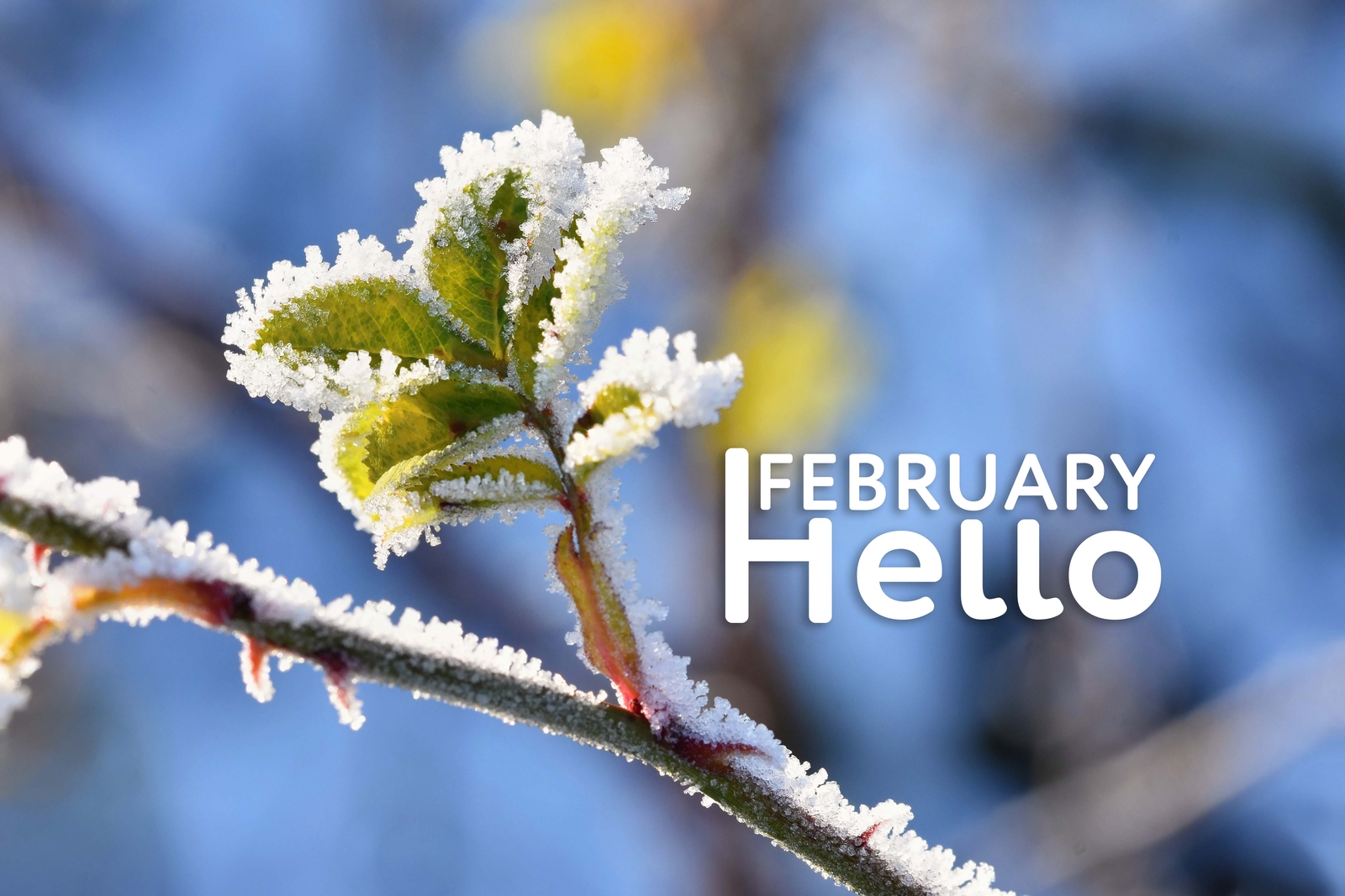 Cromatix February Cover Facebook By Cromatix Creative Image Lab On Dribbble