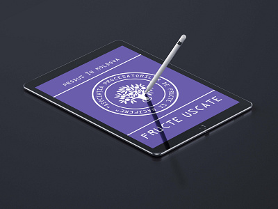 Cromatix work Ipad Pro APPFB branding chisinau creative cromatix cromatix creative image lab cromatixlab design identity moldova typography