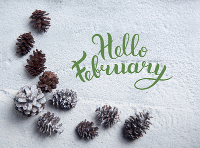 #Hello #February #2022 in #Moldova! branding chisinau creative cromatix cromatix creative image lab cromatixlab design illustration logo moldova