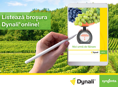 Cromatix work - Dynali Facebook banners for Syngenta! branding chisinau creative cromatix cromatix creative image lab cromatixlab design illustration logo moldova