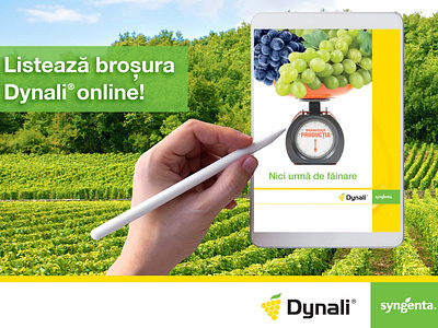 Cromatix work - Dynali Facebook banners for Syngenta!