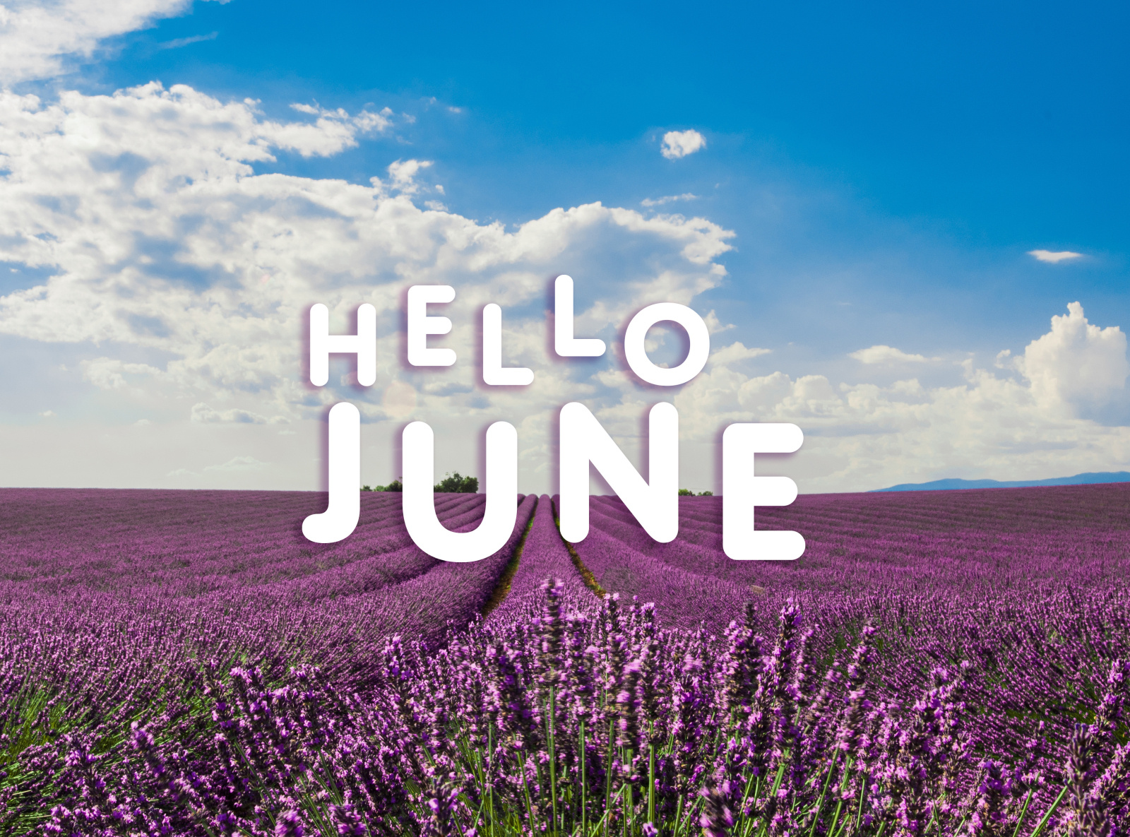 Hello june картинка