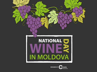 Moldova Wine Day 2017 Final book branding chisinau creative cromatix cromatixlab design image lab logo moldova