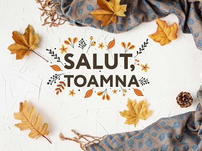 Cromatix Cover Salut toamna 2019 branding chisinau creative cromatix cromatix creative image lab cromatixlab design identity logo typography