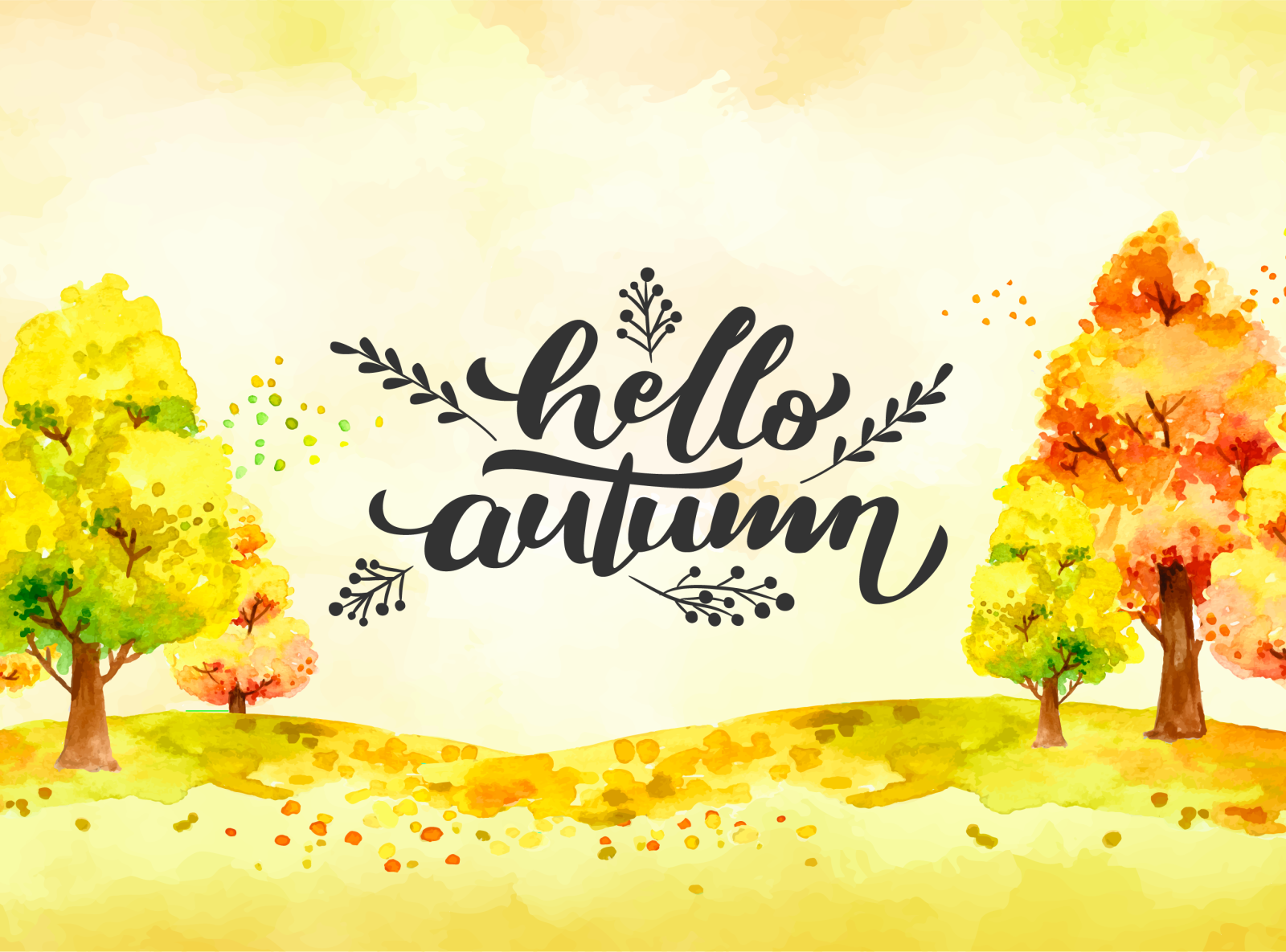 Hello fall image - ðŸ§¡ Goodbye, summer - Hello autumn! 