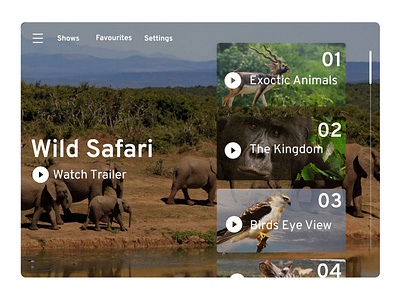 Video Player animals dailyui dailyuichallenge design episodes figma nature safari shows ui uidesign video video player