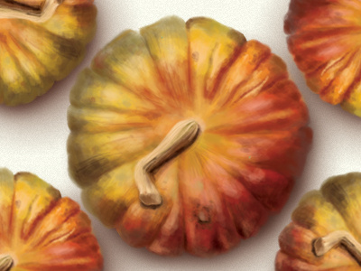 Pumpkin color colors design digital paint gibran illustration mexico ombre pumpkin vegetables watercolors