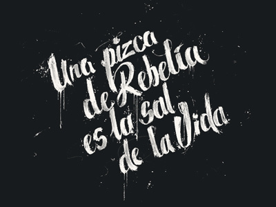 La sal de la vida caligraphy lettering mexico type typography