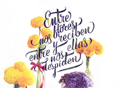 Día de muertos brush flowers hand lettering lettering mexico tradition