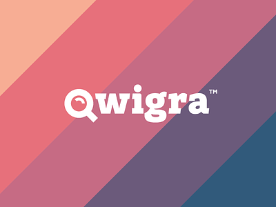 Qwigra. Mobile app identity. app design develop flat game intelligent ios logo loupe mobile quest search