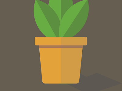 Potted Plant