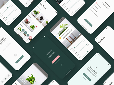 Seedling App app brand design design figma mobile plants presentation research ui user research ux