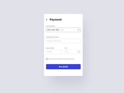 Payment form design ui visual design web design