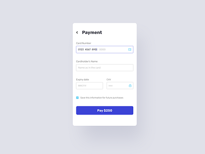 Payment form design ui visual design web design