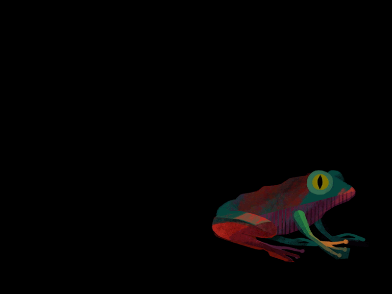 frog by Pauline Fuchs | Dribbble