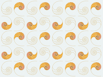 Chambered Nautilus Pattern