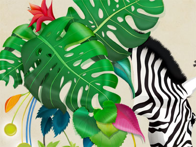 Zebra poster colors flowers nature poster zebra