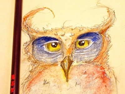Owl animal art character drawing illustration owl paint sketch water colour