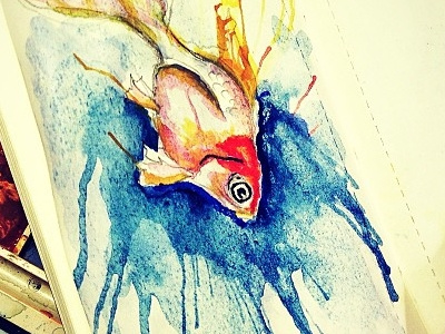 ink Fish animal art character drawing fish illustration paint sketch water colour