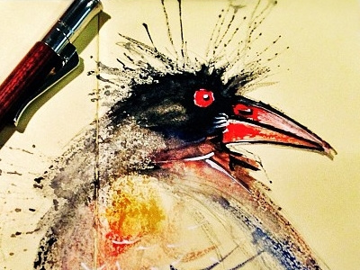 color crow animal art ary character crow drawing illustration paint sketch water colour