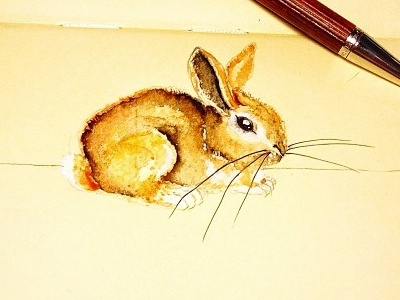 follow the rabbit... animal art character draw drawing illustration paint pen rabbit sketch water colour