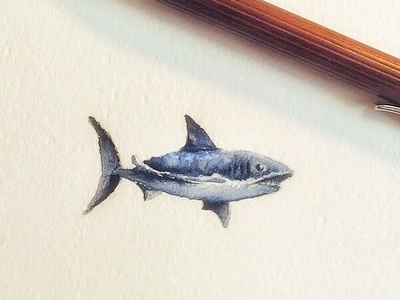shark animal art drawing fish illustration miniature paint sketch water colour