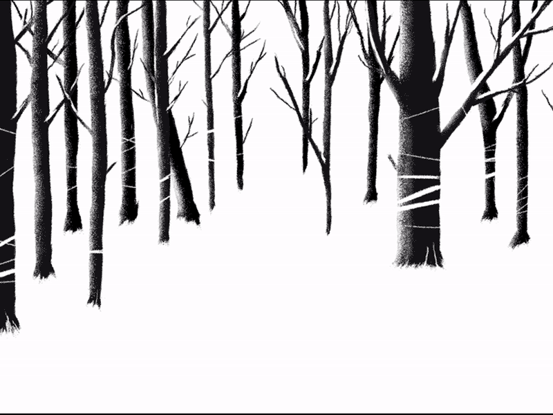 Lucky Night animation animation gif black and white crow forest gif illustration night snow wolf