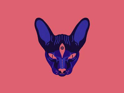 Sphynx Cat