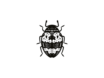 FLASH - Art print (details) anatomical anatomy art beetle bones coffin creative death design diosaur flash hand illustration insect key knife plant skull tattoo vector