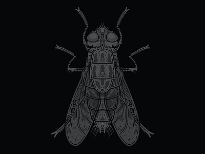 THE FLY - T-shirt adobe adobe illustrator apparel artist artwork bug clothing creative dark detail entomology fly illustration illustrator insect store the fly tshirt vector