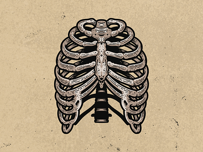 Wild Bones - Ribcage adobe adobe illustrator anatomical anatomy art bone bones cinema digital art film illustration illustrator indie movie medical movie ribcage ribs texture vector
