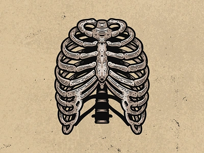 Wild Bones - Ribcage adobe adobe illustrator anatomical anatomy art bone bones cinema digital art film illustration illustrator indie movie medical movie ribcage ribs texture vector