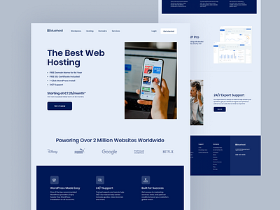 Web Hosting Landing Page clean design landing page minimal ui uidesign uiux web web design web hosting website