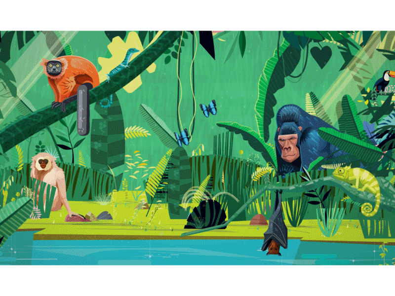 Jungle - Zoo More Good 2d 3d animation bat frog gif. gorilla iguana jungle lizard monkey motion graphics parallax parrot plants shrub swamp trees tucan zoo