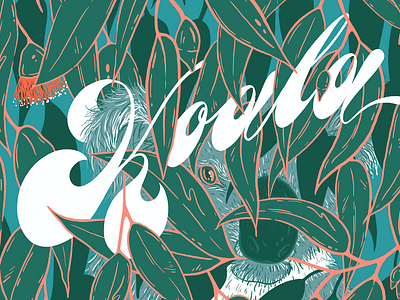 Koala animal australia botanical cursive design flower illustration koala typography zoo
