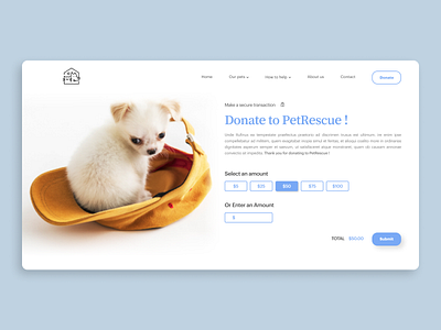 Pet Adoption Platform adopt cat dog donate donation pet pet adoption rescue ui ui design