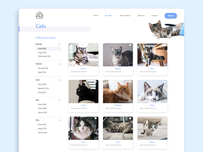 Pet Adoption Platform | Cat Adoption adopt adoption animal cat dailyui dog pet pet adoption rescue ui uidesign