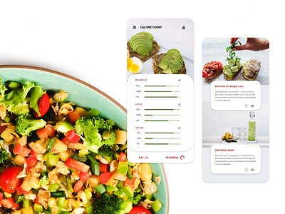 Calorie count application + daily health tips mobile application ui ux