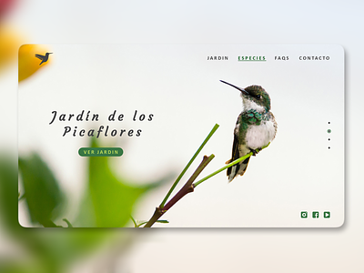 Jardin de los Picaflores | Web design adobe illustrator adobe photoshop animal design illustration landing page logo minimal ui ux web web design website