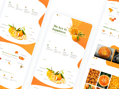 Orange - Landing Page Design agency beautiful design design agency fruits illustration orange typography ui user interface ui ux uxui webdesign