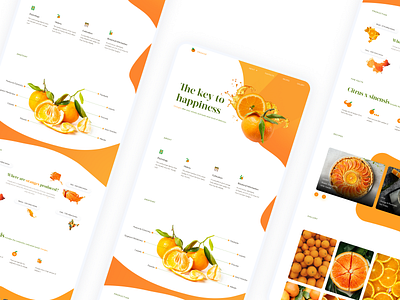 Orange - Landing Page Design