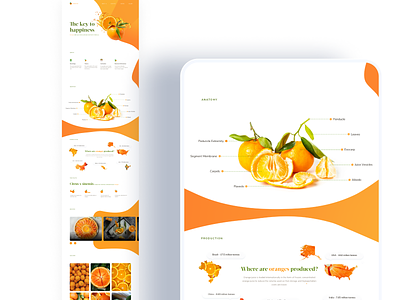 Orange - Landing Page Design agency beautiful design design agency illustration typography ui user interface ui userinterfaces ux uxui webdesign website design websites