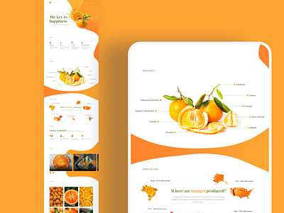 Orange - Landing Page Design By Cinnamon On Dribbble