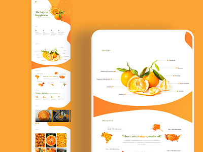 Orange - Landing Page Design agency beautiful design design agency illustration orange typography ui user inteface user interface design ux uxui web design webdesign website design