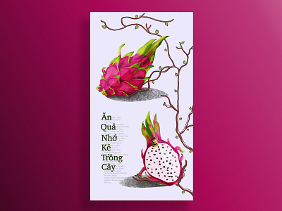 dragonfruit poster design design fruit graphic design illustration plant vector