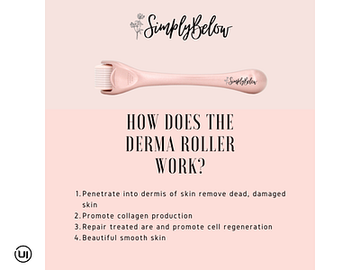 Skin Roller