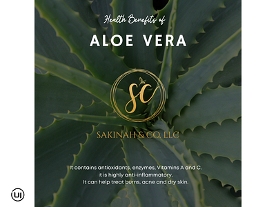 ALOE VERA